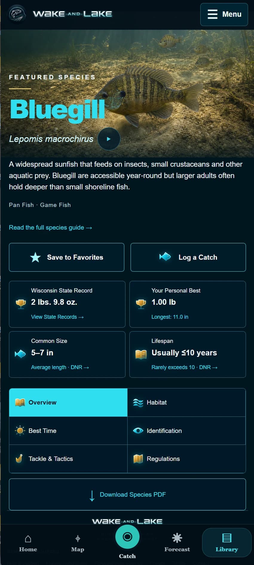 Actual mobile app: Fish Library featuring Bluegill (Lepomis macrochirus) and its species profile
